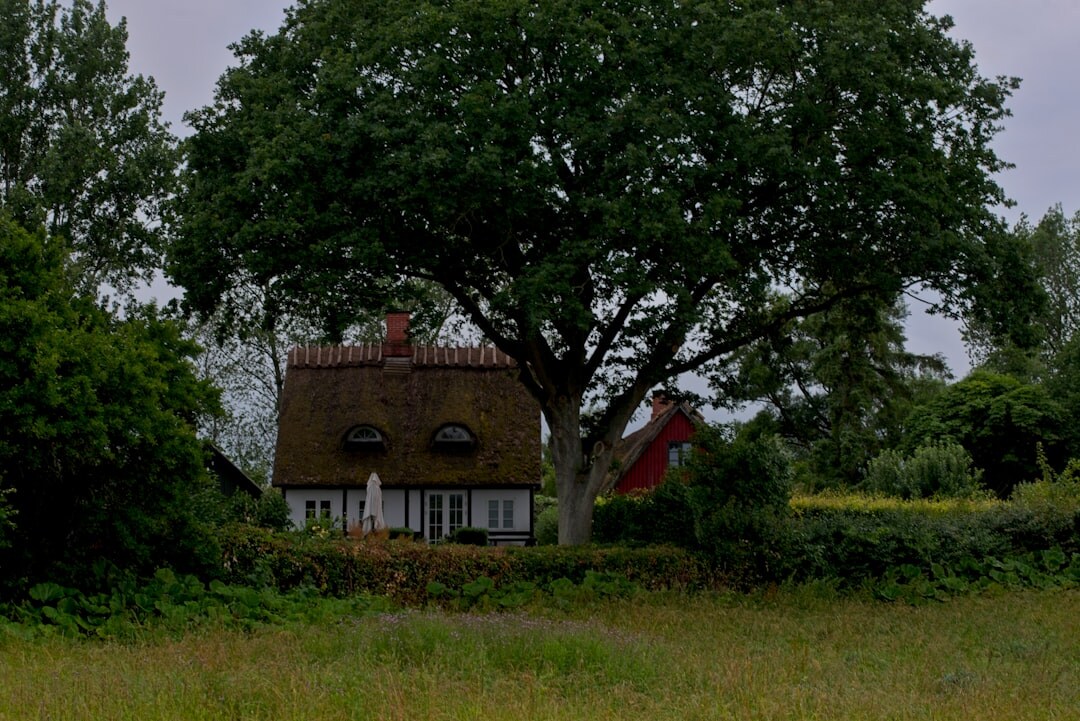 danish countryside landscape